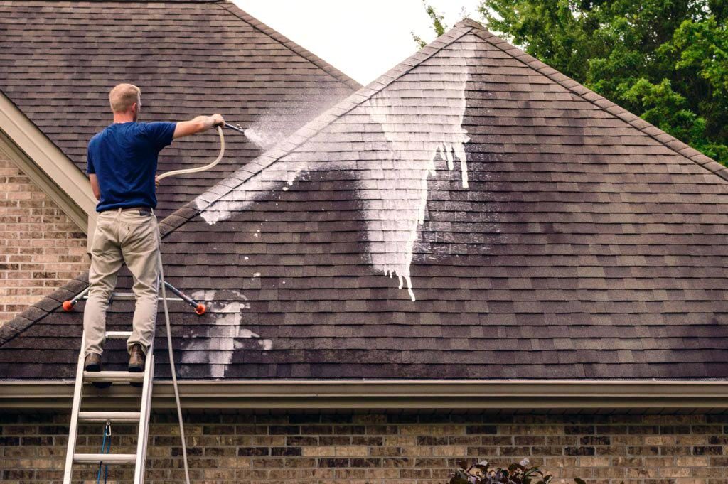 roof cleaning companies in florence ky