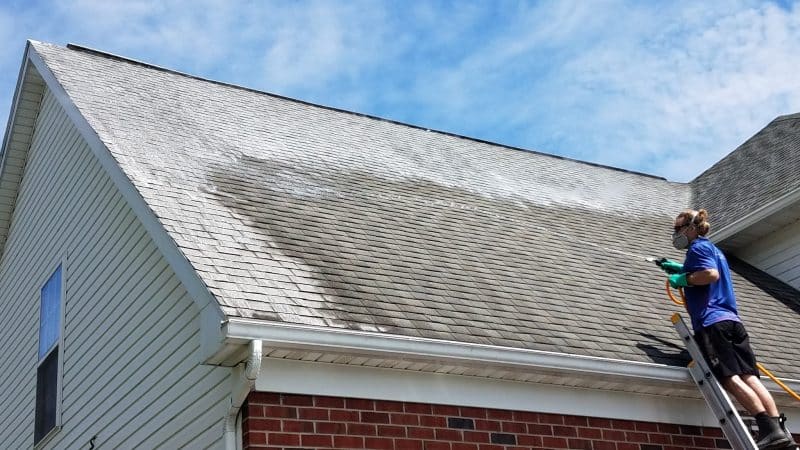 roof cleaning services in florence ky